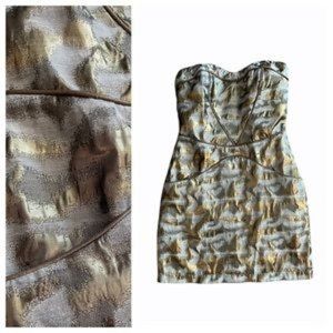 Greylin Cocktail Dress NWT